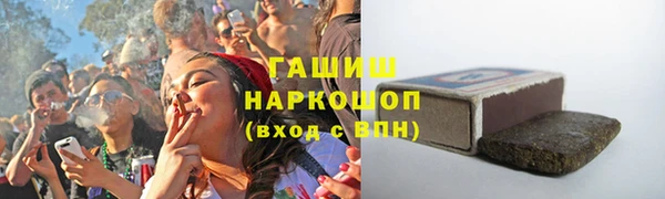 стафф Арсеньев