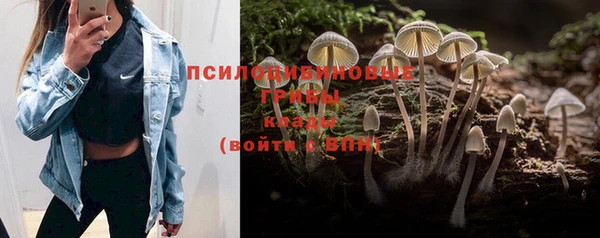 mix Аркадак